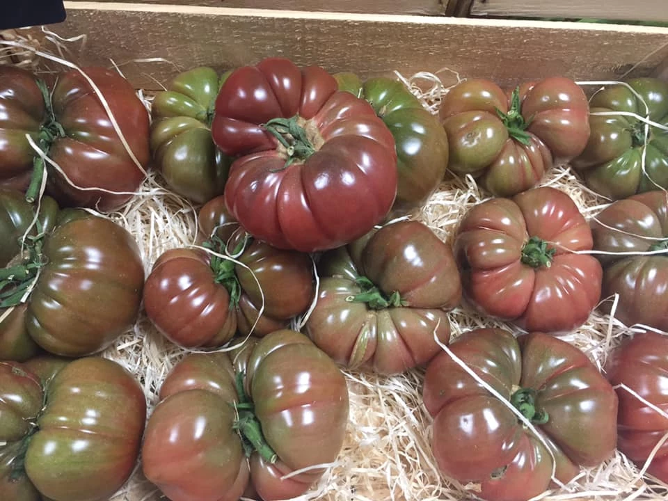 tomates noire de crimé