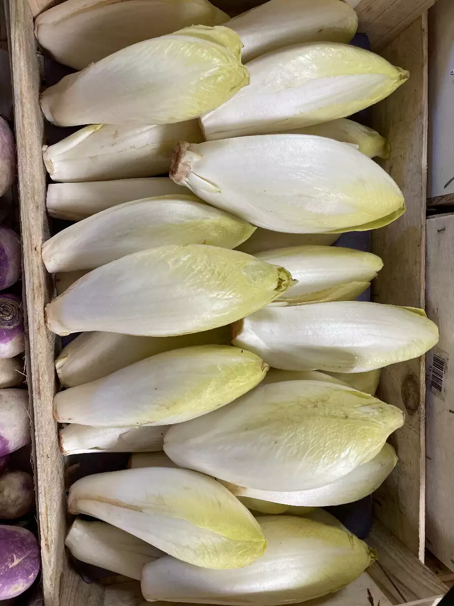 Endives blanches